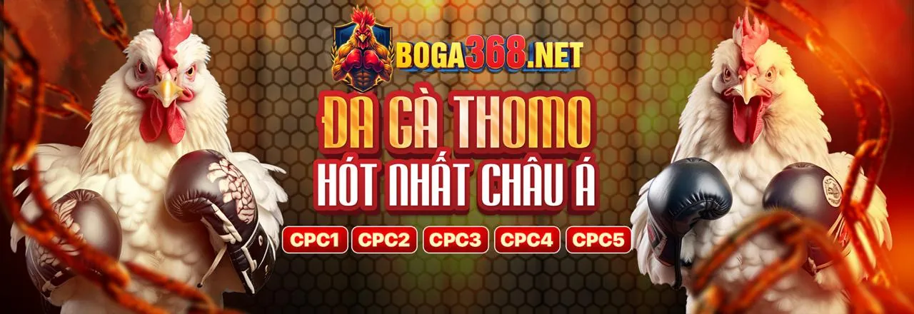 Quyền của người dùng theo GDPR tại ww888 nhà cái