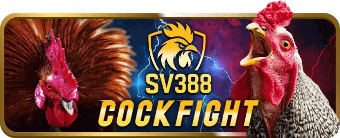 Đá gà ww888
