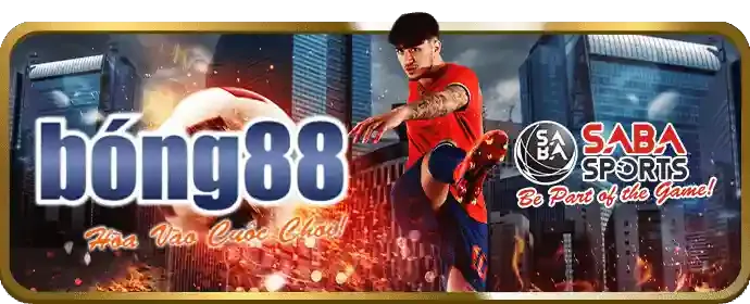 Cách chọn nhà cái cá cược đáng tin cậy